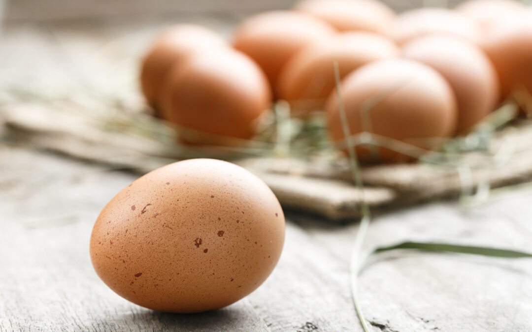 Les œufs pour la récupération dans l'alimentation du sport