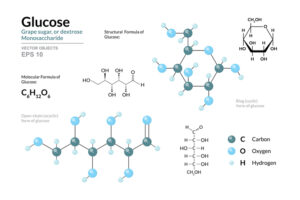 Ratio glucose fructose dans les produits de l’effort : Soyez précis !