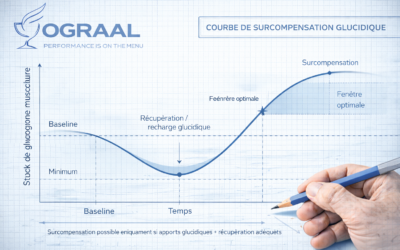 Surcompensation glucidique : du poids en plus mais de la performance aussi ?